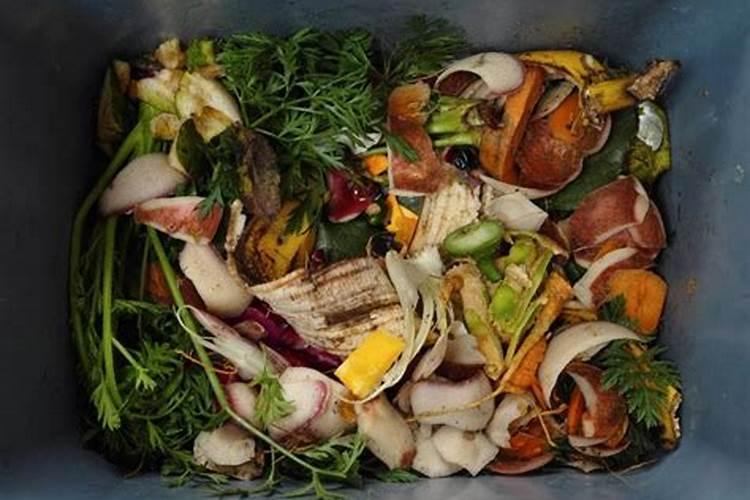 1块果皮扔盆里,花长得又壮又猛!