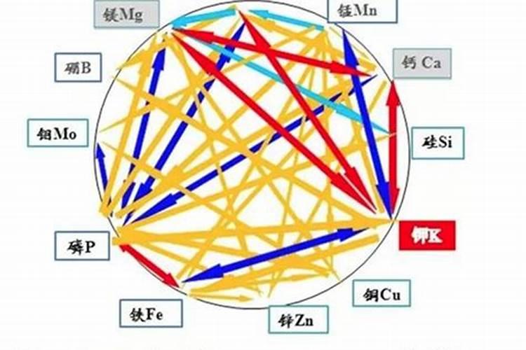 施肥到地里要多久才能被充分吸收？为什么？
