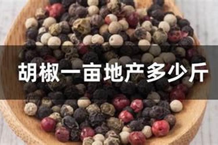 请问谁知道山胡椒的最佳种植方法