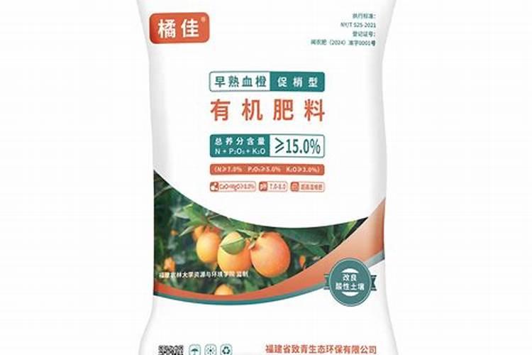 桔子树怎么种植