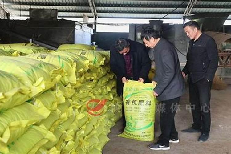 河北中港美盛肥业有限公司怎么样？