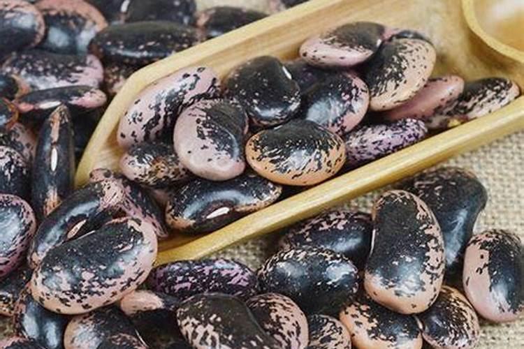 芸苔素可以灌根吗