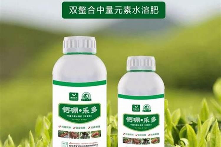 种植萝卜常用增产叶面肥有哪些？ 根茎膨大期使用膨大剂促增收