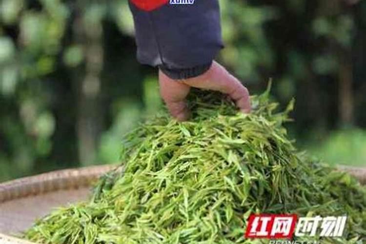 崇州市建绿生物有机肥有限公司怎么样？