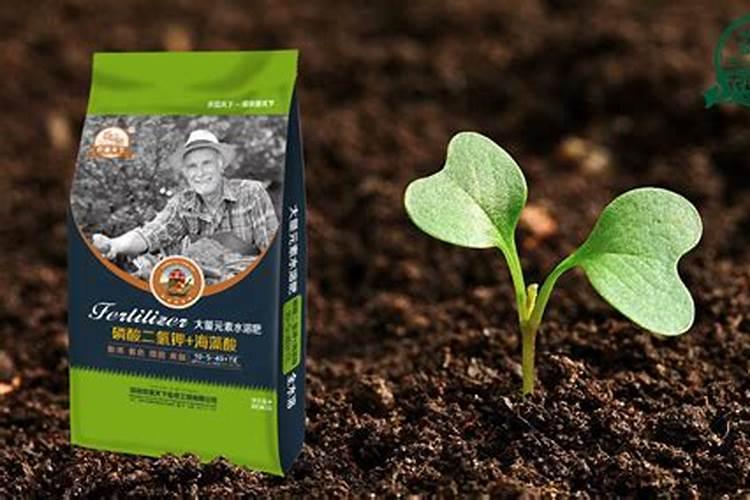 寿光有个威力马水溶肥,看不少种植户都在用,效果到底怎么样？价格这么高...