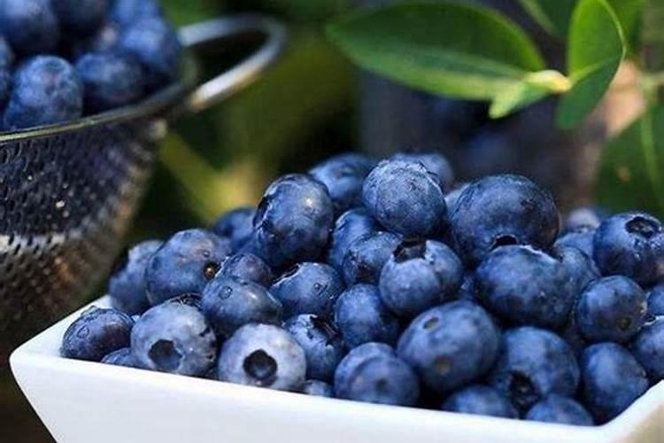 蓝莓落叶怎么样施肥？？？