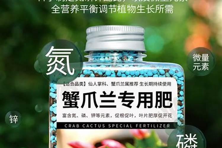 养蟹爪兰用什么肥料