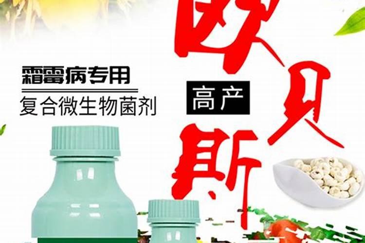 朱顶红用多菌灵怎么泡