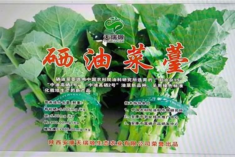 浙江省土壤地质环境正效益评价