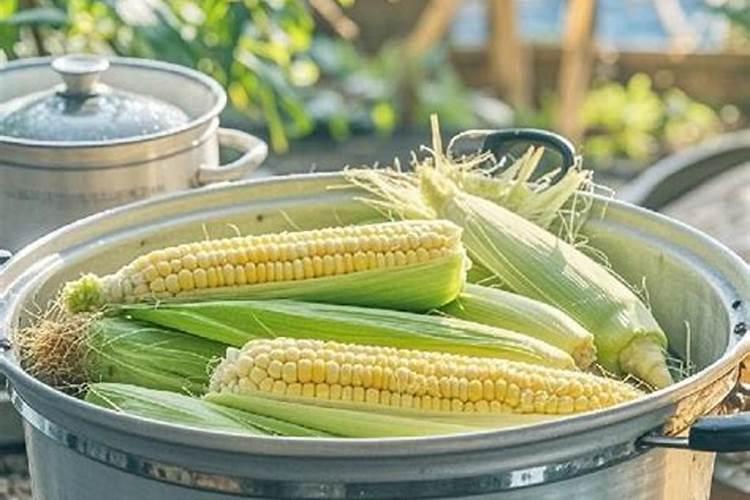 玉米打什么叶面肥最好