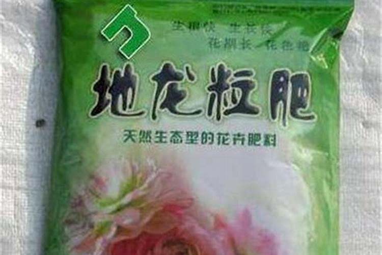 在养花时如何使用磷肥