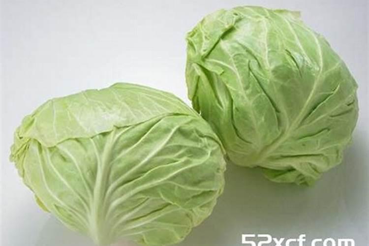 包菜又叫做卷心菜,你知道包菜要怎么施肥吗？