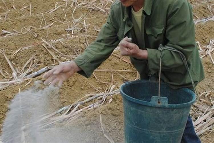 怎么用氮磷钾施肥效果好