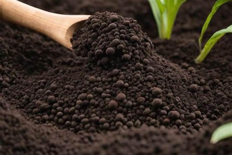 绿萝用什么肥料长得快,含氮的有机肥最利于生长