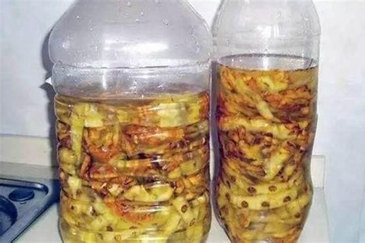 烂南瓜怎么做肥料