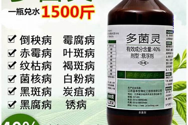 结球期甘蓝发生霜冻还长吗？