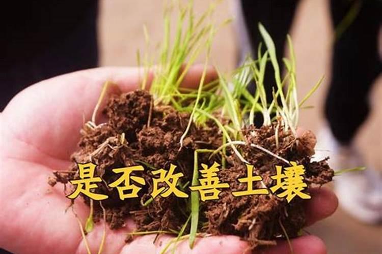 哪些肥料与农药不能混合使用？