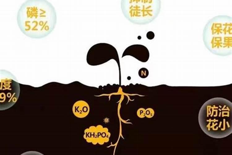 在水产养殖过程中怎样用磷酸二氢钾肥水