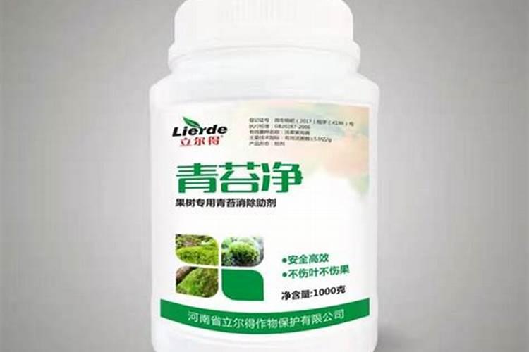 如何有效预防蔬菜大棚内部青苔的生长？