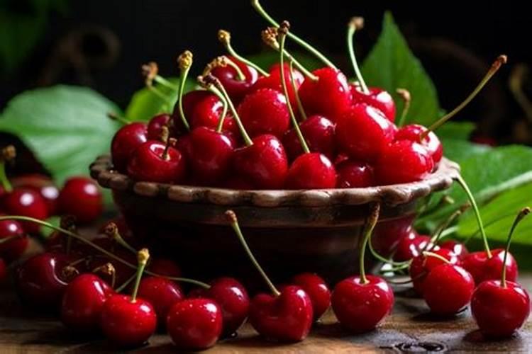 盆栽车厘子施什么肥最好