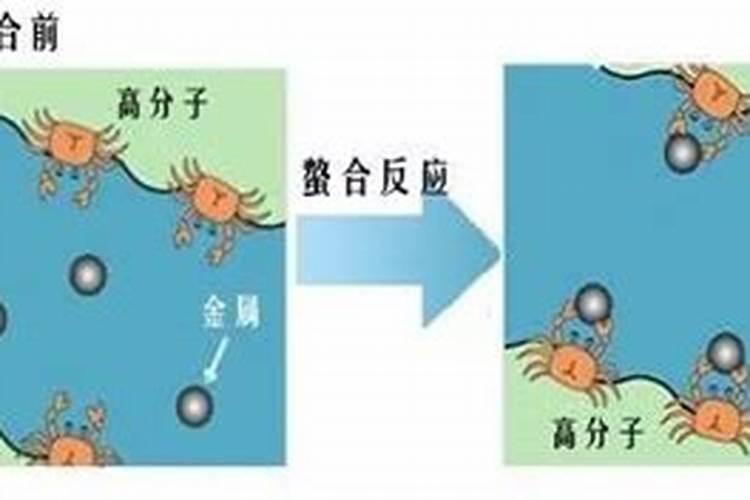 作物缺钙裂果？如何科学补钙？
