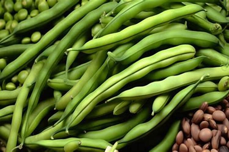 四季豆用什么肥料？