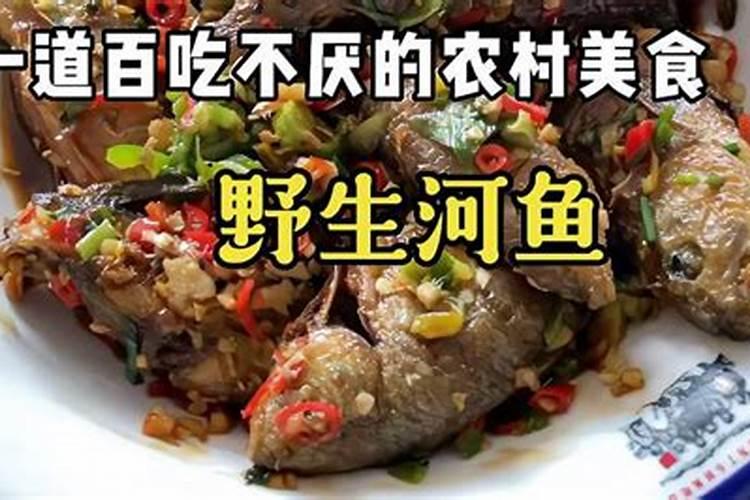 鲤鱼与鲅鱼哪个蛋白质高