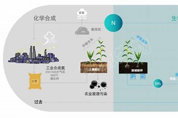 西红柿追肥用什么肥料
