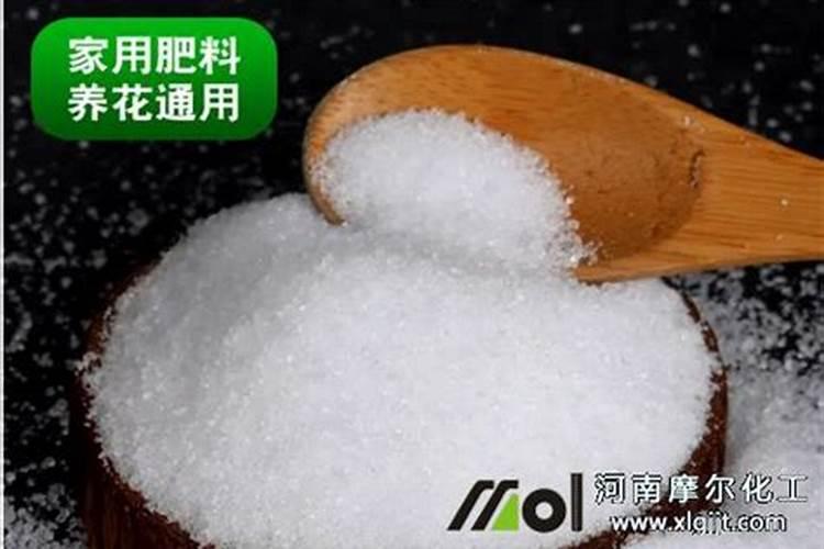 小麦冬前喷什么叶面肥