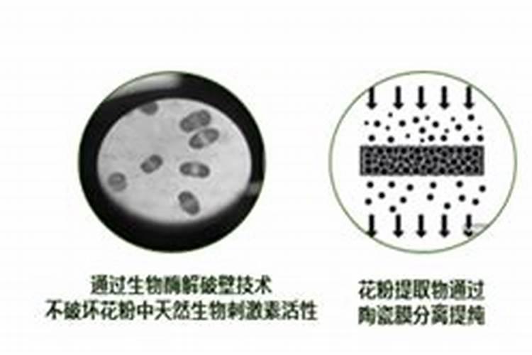 芸苔素好还是膨大素好