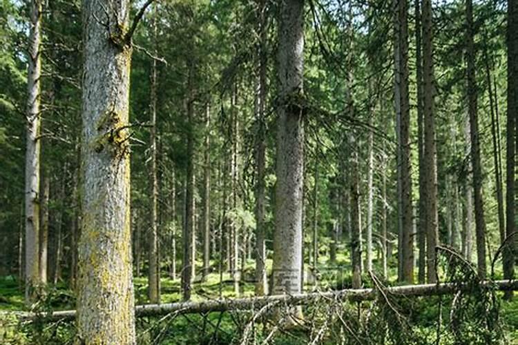 复合肥,氮肥,磷肥,钾肥有什么区别