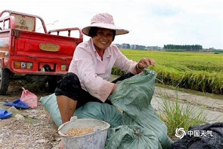 荸荠黑心是什么原因造成的？