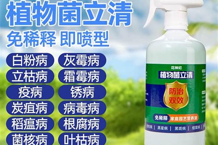 兰花冬天怎么施肥,施什么肥最好