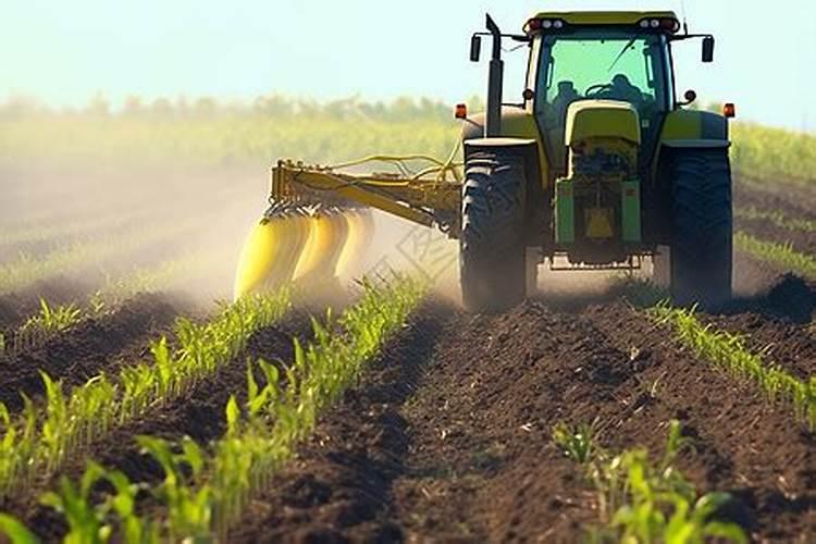 现在玉米冲施肥用什么肥料最好