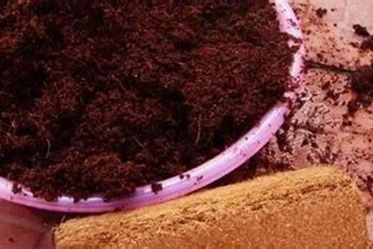 自制营养土最简单的方法