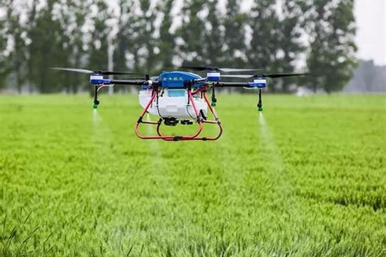 铵态氮肥怎么用 铵态氮肥使用有什么注意事项