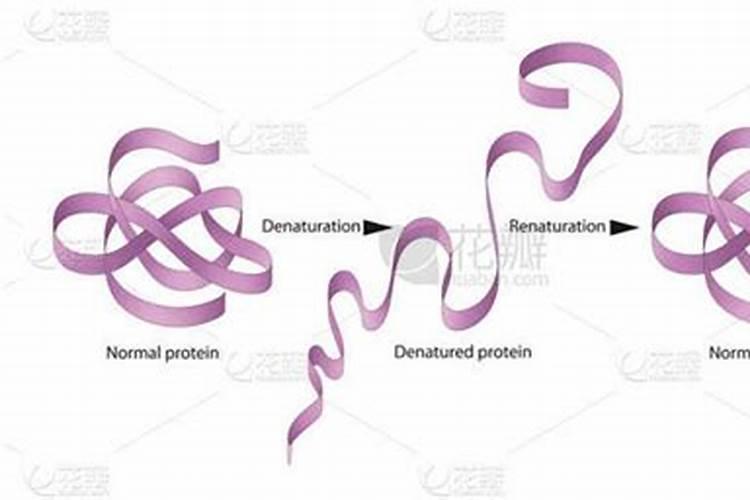 化学元素手册·氮·(114)脲