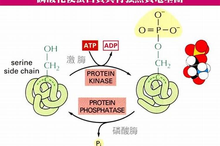 尿素,对植物生长的作用是什么,该如何使用？