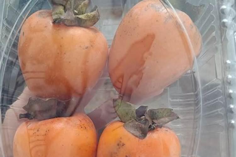 怎样掌握柿子树的施肥时期？