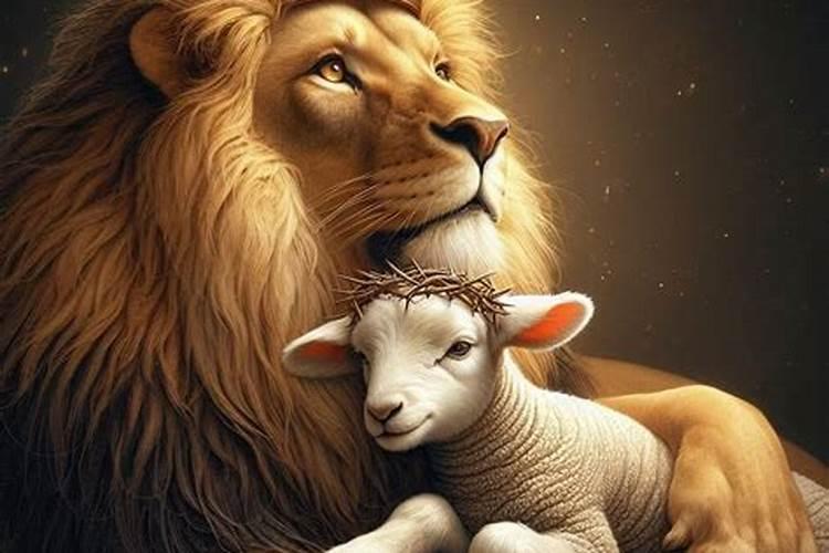 马铃薯上什么肥料产量高？马铃薯膨大用什么肥料好？