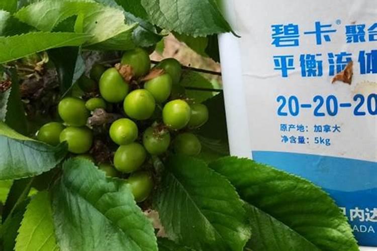 控释肥和缓释肥的区别