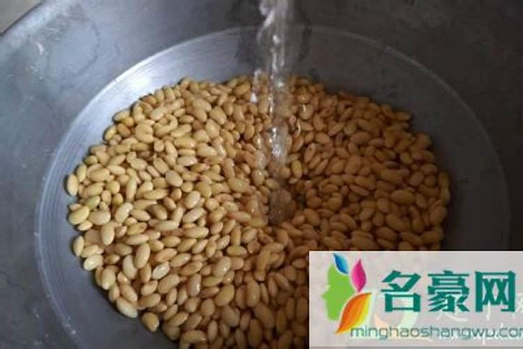 发酵的黄豆水浇花太臭怎么办