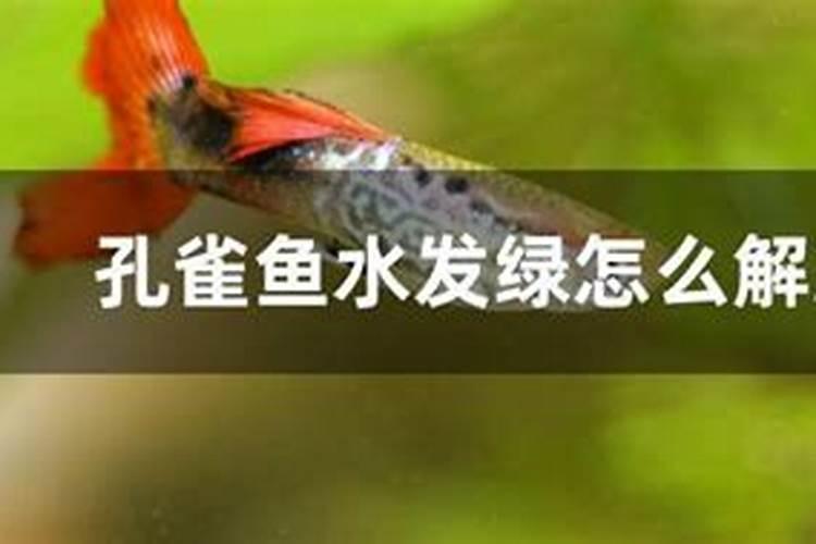 煮巴沙鱼有泡沫怎么办？