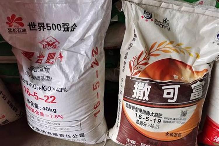 紫苏籽怎么种植方法