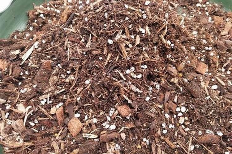 发酵水果皮属于氮肥吗