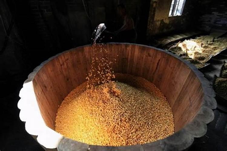 果皮发酵属于哪种肥