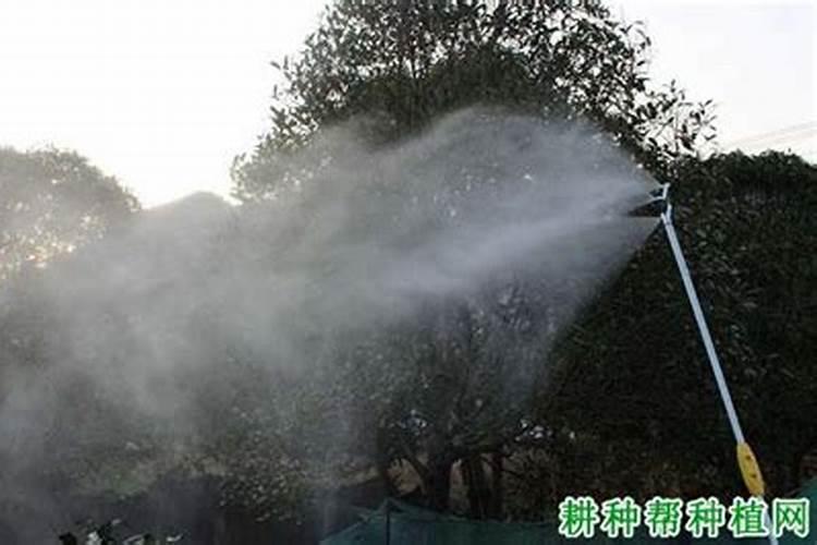 麻山药的锈病如何防治