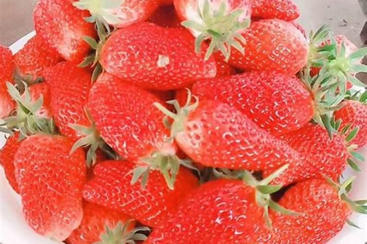 草莓一亩地用复合肥多少