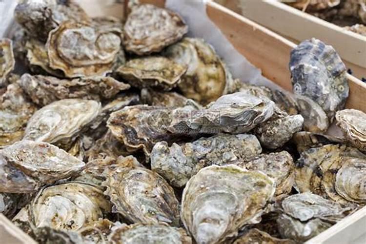 钙肥的原料有哪些种类