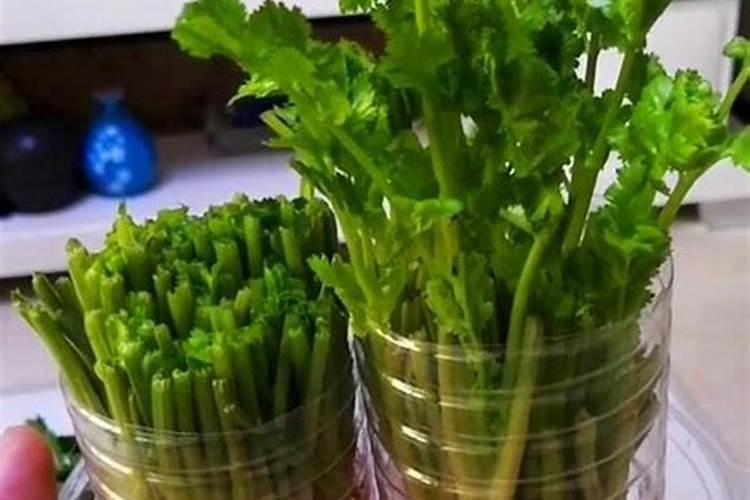 慢性肾病患者能不能吃甜食？真相终于揭晓,患者更应警惕这些食物百度...